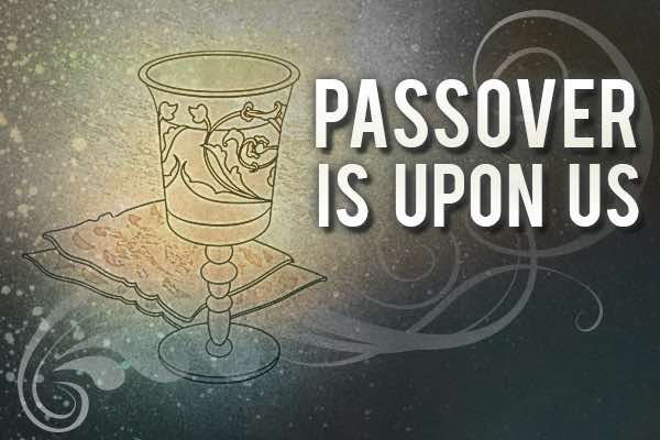 Adonai Rophe Passover cup web